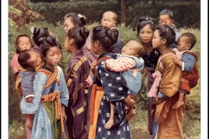 A Cabinet view photo of 'S 763' (Courtesy: Rob Oechsle - t-enami.org)